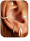 VIDONIO 5 Paar Ohrringe Silber 925 Set für Damen - Ohrringe Gold Kleine Creolen & Ohrstecker Hypoallergen 14K Vergoldet Zirkonia Stapelbar Wasserdicht, Knorpel Schmuck für Mehrere Piercings