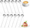 Latte Macchiato Löffel Set 12 Stück lange Löffel für Latte Gläser Edelstahl Teelöffel 17cm Cappuccinolöffel Kaffeelöffel Eislöffel Dessertlöffel (Silber)