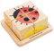 Tender Leaf Toys Baby Blocks - Wooden Picture Matching Game