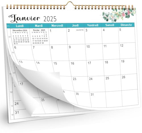 AEYAKA Calendrier 2025 Calendrier Mural, 21 cm x 30 cm Français, A4 2025 Calendrier, Planificateur Mensuelle, 2025 Aperçu des Vacances