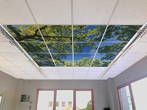 Motivdecken – Designdecken für Kassettendecken – Bedruckte Abhängedecken - Deckenbild für Rasterdecken z.B. OWA Mineralfaser Platten, Knauf AMF, Armstrong Decken Deckenpaneel – 62x62cm Platten