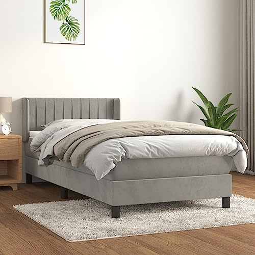 DYRJDJWIDHW boxspringbett 180x200,Bett 180x200,boxspringbett Boxspringbett mit Matratze Hellgrau 90x200 cm Samt