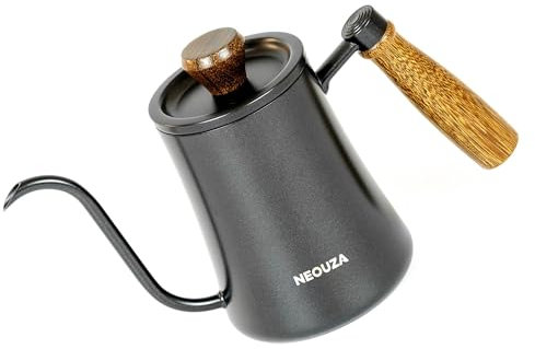 NEOUZA Pour Over Coffee Goose-Neck Kettle, 600ml, with High-Precision Thermometer | 304 Stainless Steel | Ergonomic Wooden Handle | Versatile Heating Options | Easy to Clean (Basic)