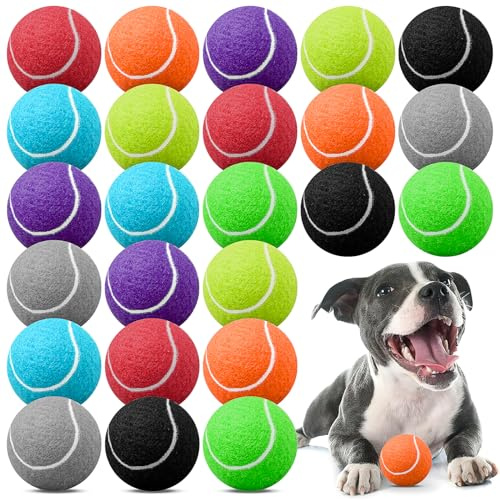 JTKDG 24er Pack Tennisbälle Set, 8 Farben Bunte Trainingsbälle für Anfänger & Fortgeschrittene, Hochfeste Übungsbälle für Tennistrainer & Ballmaschine, Robuste Hundebälle für Apportierspiele