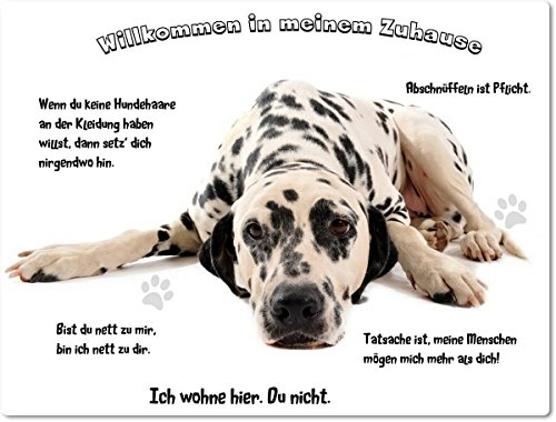 Merchandise for Fans Blechschild/Warnschild/Fun Türschild - Willkommen in Meinem Zuhause - Motiv: Dalmatiner liegend- 01 - (20x30cm)