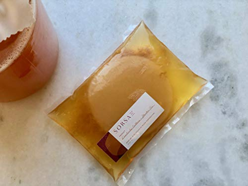 Sorsa Kombucha Große Living Kombucha SCOBY Culture