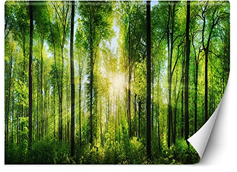 Feeby Fotomurales Bosque Plantas Naturaleza 400x280 cm Verde Tejido No Tejido Papel Tapiz Fotográfico Decorativos Murales Dormitorio Oficina Hotel Spa Rayos De Sol Entre Los Árboles
