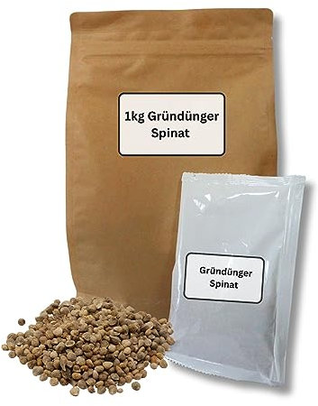GardenTaurus® natürlicher Gründünger Spinat, 300g für 30m², Saatgut mit doppeltem Nutzen, essbarer Gründünger - Vorteilspack, verbessert die Bodenstruktur, gibt Nährstoffe frei