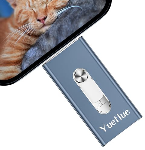 sans APP Yueflue 256 Go Cle USB pour lPhone/lPad/Android/PC et Tablette | Cle USB lphone stockage Pour Stocker Plus De Photos Et Vidéos, Interface Double Push-Pull Avec Adaptateur Type-C Indépendant