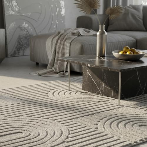 KADIMA DESIGN Teppich 3D Skulptur Skandinavischer Boho Samtweich Waschbar Strapazierfähig Robust 8mm Flor Silber 140x200 cm Esszimmer Wohnzimmer Fußbodenheizung geeignet Oeko-TEX | RIGI