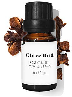 Huile essentielle de clou de girofle 10ml pur BIO humidificateur d'aromathérapie écologique 100% naturel