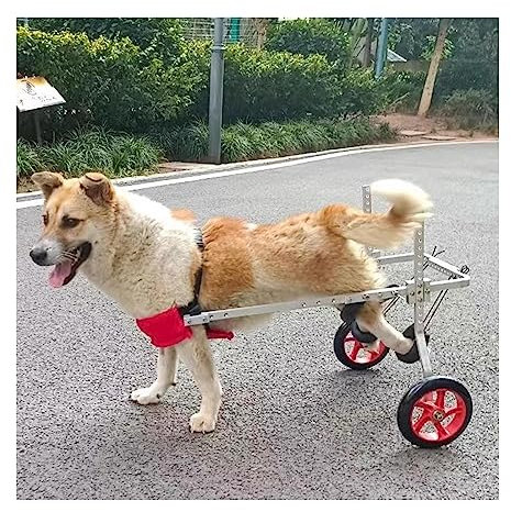 Hundewagen/Rollstuhl Einstellbar Hundewagen/Rollstuhl Für Hinterbeine, Leichtgewicht Pro Haustier/Hunde-Rollstühle Mit Behinderten Hinterbeinen Zum Laufen, Für Kleine, Mittelgroße Und Große Hunde ( Si