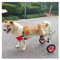 Hundewagen/Rollstuhl Einstellbar Hundewagen/Rollstuhl Für Hinterbeine, Leichtgewicht Pro Haustier/Hunde-Rollstühle Mit Behinderten Hinterbeinen Zum Laufen, Für Kleine, Mittelgroße Und Große Hunde ( Si