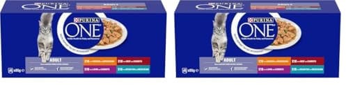 PURINA ONE Mini Fillets Mixed Selection in Gravy Wet Cat Food 40x85g (Pack of 2)