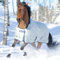 Bucas Power Turnout Light Big Neck 140 Silber