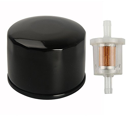 OxoxO 691035 493629 - Filtro Olio 492932S 7045184 492056 per Motori Briggs & Stratton
