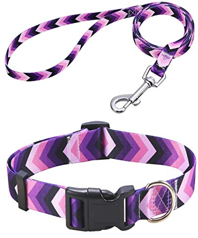 Mihqy Hundehalsband und Leine Set, Verstellbares, Weich & Komfort Nylon Hunde Halsband für Kleine Mittlere Große Hunde Welpen Katzen(Lila Pfeil Set,L)