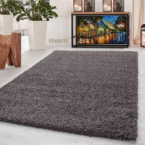 HMWD Shaggy Rugs 50mm/5cm Thick Modern Rugs Living Room Bedroom Decor, Fluffy Anti-Shed Deep Pile Floor Carpet, Home Decor Shag Hallway Runner (Taupe, 60 x 110 cm (Rectangular))