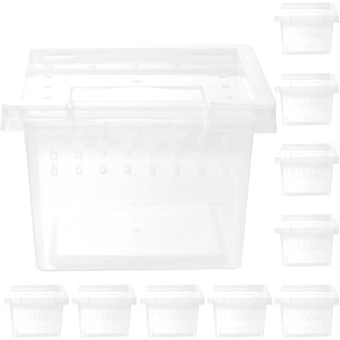 Reptilienbox Transparente Kunststoff 10 Stück für Geckos und Eidechsen