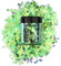 Stargazer Chunky Glitter Shaker, UV Green. Cosmetic glitter for use on the eyes, lips, face, body, hair and nails.
