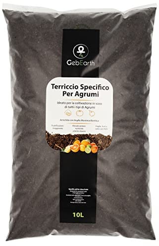 GebEarth® | Terriccio per Agrumi in vaso da 10 Litri, specifico per Limoni, Arance, Bergamotti e tutte la famiglia delle piante di Agrumi e Mediterranee [Formula con Argilla Montmorillonitica]