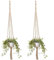 4 soportes para plantas de yute para macetas, con 2 opciones grandes y 2 pequeñas