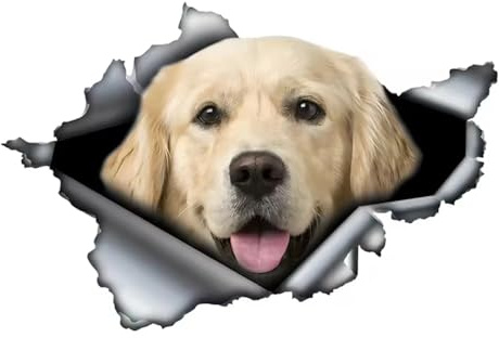 TIZIKJ Golden Retriever Auto-Aufkleber, 3D Zerrissener Effekt, Reflektierend Wasserfest, PVC-Dekor für Auto, Laptop, Kühlschrank ((15cm/5.91inch))