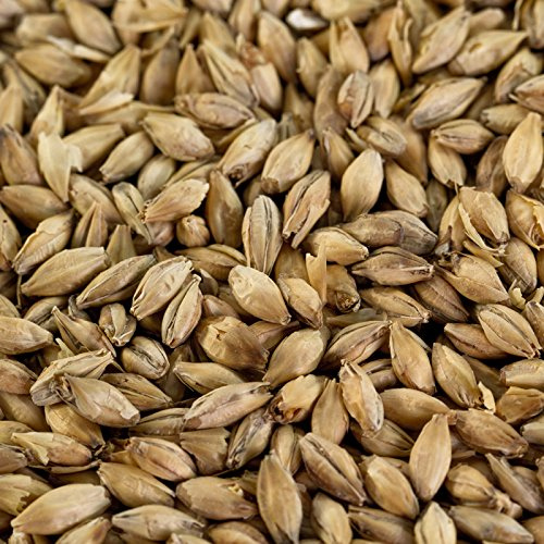 1 kg de malt Pilsner pour bières claires EBC 3-5