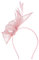 Chapeau Bibi pour Femme - Bijou de Tête de Mariage - Chapeau à Clips - Voile - Bandeau en Maille - Pour Fête, Thé, Cocktail, Halloween, Fête de la Bière, Gothique, Rose, Taille Unique