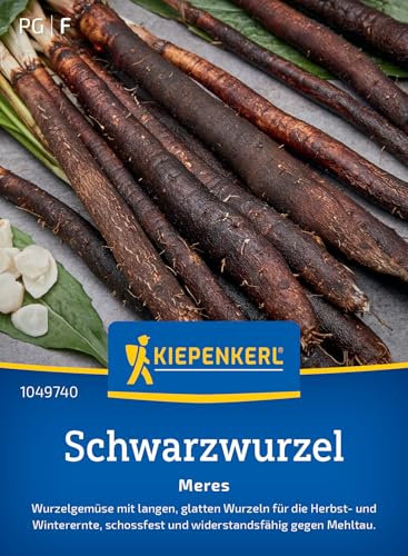 Kiepenkerl Schwarzwurzelsamen Meres 1049740 – Frostharte Gemüsesamen für Herbst- und Winterernte, ideal für Diabetiker, robuste Sorte gegen Mehltau