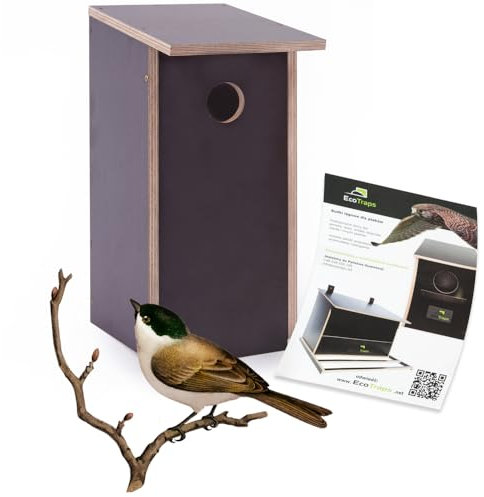 EcoTraps Vogelhaus Wetterfest Nistkasten für Wildvögel/Gartenvögel 31x14x14cm - Stabiler Vogelhäuser für Draußen mit sicherem Schutz gegen Nesträuber - Schwarz Farben - Nistkästen