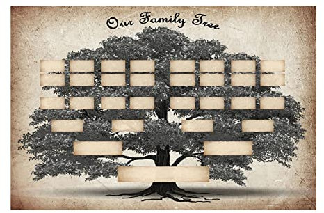 Grafico per albero genealogico | 6 generazioni su tela vuota – Poster da parete per albero genealogico fai da te, regali per uomini, donne, nonni, suoceri
