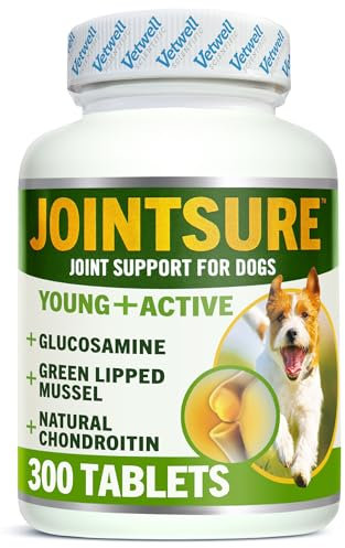 JOINTSURE Young + Active Joint Supplements für Hunde - Dreifache Formel mit Grünlippmuschel & Glucosamin zur Hundegelenkpflege (300)