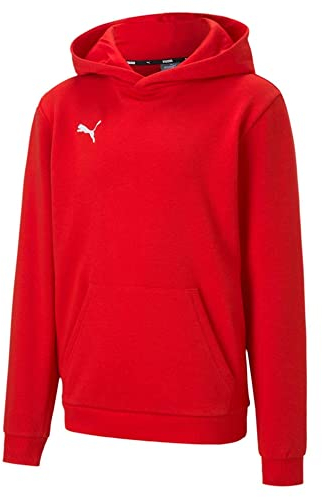 PUMA Unisex Kinder Teamgoal 23 Casuals Hoody Jr Pullover, Puma Red, 164 EU