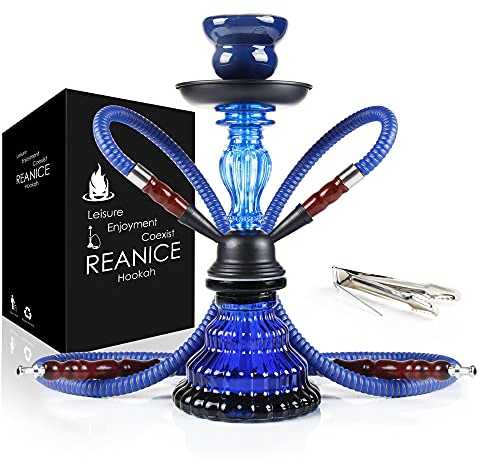 REANICE Chicha 2 Tuyau fumée Narguilé Ensemble Complet en Verre Foyer Bleu Vase de Qualité 11.2inch Kit D’initiation …