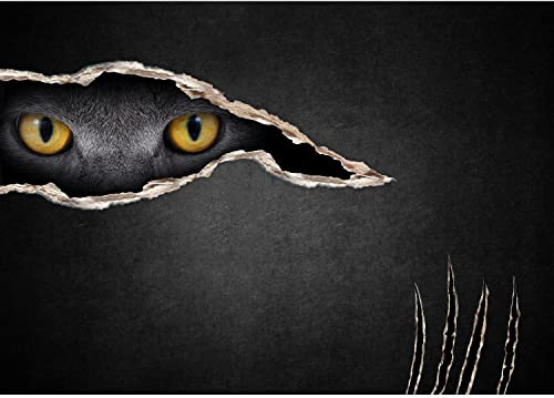 Runa Art Photo Wallpaper Cats Eyes 352 x 250 cm Non-Woven Wall Art XXL Moderne Living Room Bedroom Black 9034011a