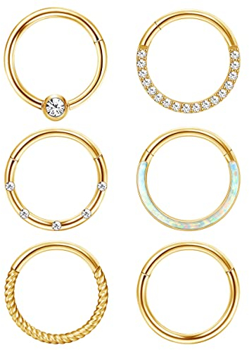 Adramata 6 Pcs Nasenpiercing Ring Septum Ring für Damen Herren Silber Nostril Chirurgenstahl Nase Helix Conch Tragus Ohr Lippenringe Nasenring Set - 16G 18G
