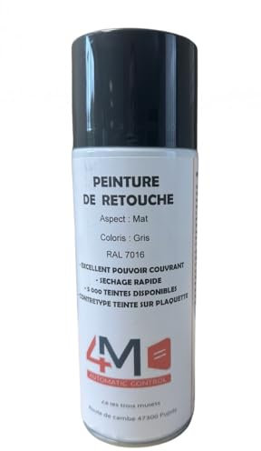 Bomba de retoque Puerta y Portal RAL 7016 Gris