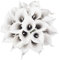 DuHouse Künstliche Calla-Lilien, fühlt sich echt an, Latex-Blumen für DIY, Hochzeit, Blumenstrauß, Party, Heimdekoration (schwarz-weiß), 20 Stück