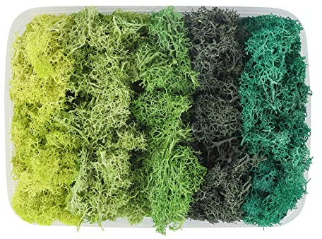 200g Artificial Moss Fake Faux Natural Fresh Green Moss Decorative 5 Colors Preserved Eternal Moss Decorative for Home Garden Patio Miniature Fairy Garden Accessories Plant House Decor (5 colors)