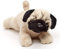 Uni-Toys - Mops Plushie (ohne Leine) - 21 cm (Länge) - Plüsch-Hund, Haustier - Plüschtier, Kuscheltier