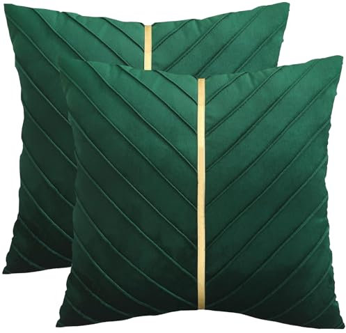 Tosleo 2 Stück Kissenbezüge Samt Kissen mit Goldfarbenem Leder 50x50cm Dekokissen Moderne Luxuriös für Sofa Gartenbett Couch Wohnzimmer Sofakissen Bett