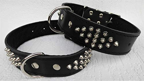 Leder Halsband - Hundehalsband, Nieten SCHWARZ, Halsumfang 33-48cm, NEU