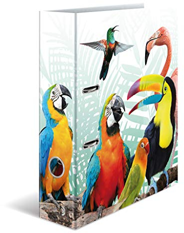 HERMA 19953 Ordner A4 Exotische Tiere Tropenclique, 10 Stück, 7 cm breit, Motiv Aktenordner aus Pappe mit Innendruck für Schule & Büro, stabiles Kinder Ringordner Set aus Karton für Jungen & Mädchen
