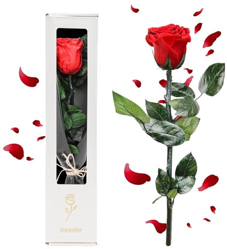 CEWROM Rose Eternelle Cadeau Femme La Fête des Grand-Mères, Fleur Eternelle, Rose Eternelle Vraie Rose avec Tige, Idee Rosee Cadeau pour Elle, Maman Amie Épouse Sœur Mamie, Mariage, Anniversaire