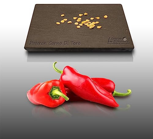 25 graines à semer - Le Grenier d'Abondance - POIVRON Corno di toro - Capsicum annuum