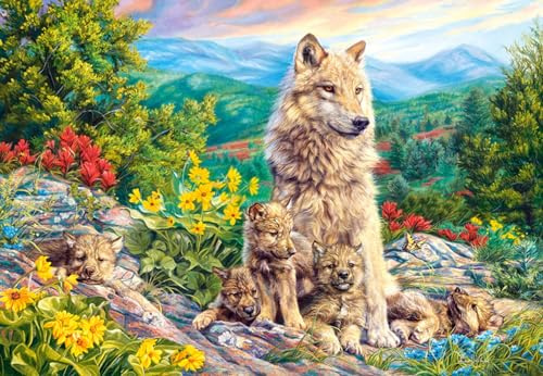 Castorland Jigsaw 1000 Pc - New Generation