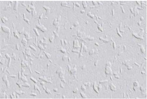 6 Rollen ERFURT RAUHFASER Mittlere Struktur 20 x 0,53 m