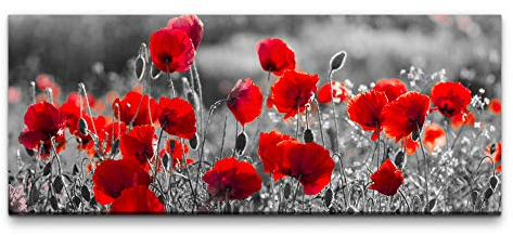 Eau Zone Wandbild Rote Mohnblumen im Feld 100x40cm