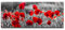 Eau Zone Wandbild Rote Mohnblumen im Feld 100x40cm
